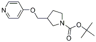 3-(Pyridin-4-yloxymethyl)-pyrrolidine-1-carboxylic acid tert-butyl ester 结构式