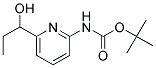 tert-butyl [6-(1-hydroxypropyl)pyridin-2-yl]carbamate 结构式