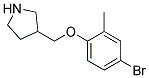 3-(4-Bromo-2-methyl-phenoxymethyl)-pyrrolidine 结构式