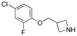 3-(4-Chloro-2-fluoro-phenoxymethyl)-azetidine 结构式