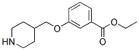 3-(Piperidin-4-ylmethoxy)-benzoic acid ethyl ester 结构式