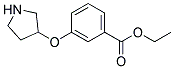 3-(Pyrrolidin-3-yloxy)-benzoic acid ethyl ester 结构式