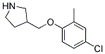 3-(4-Chloro-2-methyl-phenoxymethyl)-pyrrolidine 结构式