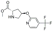 methyl (2S,4R)-4-{[4-(trifluoromethyl)pyridin-2-yl]oxy}pyrrolidine-2-carboxylate 结构式