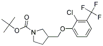 3-(2-Chloro-3-trifluoromethyl-phenoxymethyl)-pyrrolidine-1-carboxylic acid tert-butyl ester 结构式