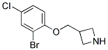 3-(2-Bromo-4-chloro-phenoxymethyl)-azetidine 结构式