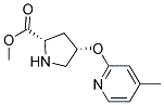 methyl (2S,4S)-4-[(4-methylpyridin-2-yl)oxy]pyrrolidine-2-carboxylate 结构式