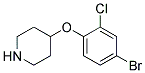 4-(4-Bromo-2-chloro-phenoxy)-piperidine 结构式