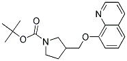 3-(Quinolin-8-yloxymethyl)-pyrrolidine-1-carboxylic acid tert-butyl ester 结构式