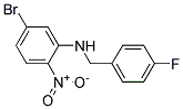 (5-Bromo-2-nitro-phenyl)-(4-fluoro-benzyl)-amine 结构式