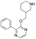 2-phenyl-3-(piperidin-3-ylmethoxy)pyrazine 结构式