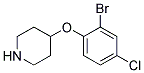 4-(2-Bromo-4-chloro-phenoxy)-piperidine 结构式