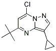 5-tert-butyl-7-chloro-3-cyclopropylpyrazolo[1,5-a]pyrimidine 结构式