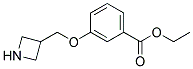 3-(Azetidin-3-ylmethoxy)-benzoic acid ethyl ester 结构式