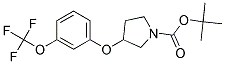 3-(3-Trifluoromethoxy-phenoxy)-pyrrolidine-1-carboxylic acid tert-butyl ester 结构式