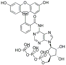 FLUORESCEIN-N6-ATP 结构式