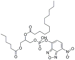 06:0-12:0 NBD PA MONOSODIUM SALT 结构式