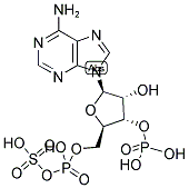 3'-PHOSPHOADENOSINE-5'-PHOSPHOSULFATE, [35S] 结构式