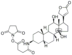 3-AMINO-3-DEOXYDIGOXIGENIN HEMISUCCINAMIDE, SUCCINIMIDYL ESTER 结构式