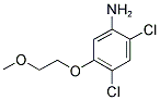 2,4-DICHLORO-5-(2-METHOXYETHOXY)ANILINE 结构式