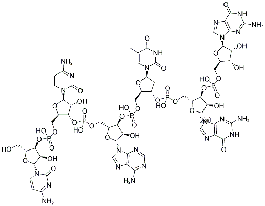 CCATGG, 5'-NON-PHOSPHORYLATED 结构式