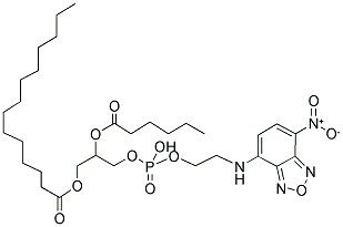 1-MYRISTOYL-2-[6-[(7-NITRO-2-1,3-BENZOXADIAZOL-4-YL)AMINO]CAPROYL]-SN-GLYCERO-3-PHOSPHOETHANOLAMINE 结构式