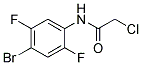 N1-(4-BROMO-2,5-DIFLUOROPHENYL)-2-CHLOROACETAMIDE 结构式