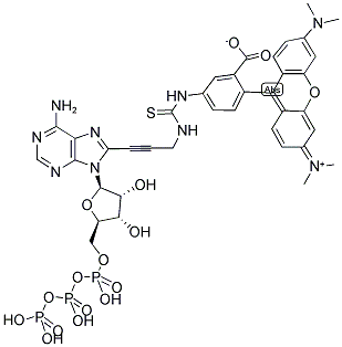TETRAMETHYLRHODAMINE-6-ATP 结构式