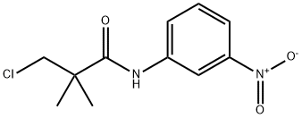 3-CHLORO-2,2-DIMETHYL-N-(3-NITROPHENYL)PROPANAMIDE 结构式