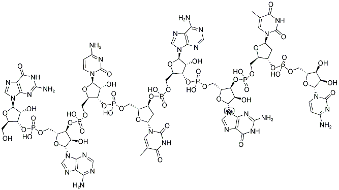 GACTAGTC, 5'-NON-PHOSPHORYLATED 结构式