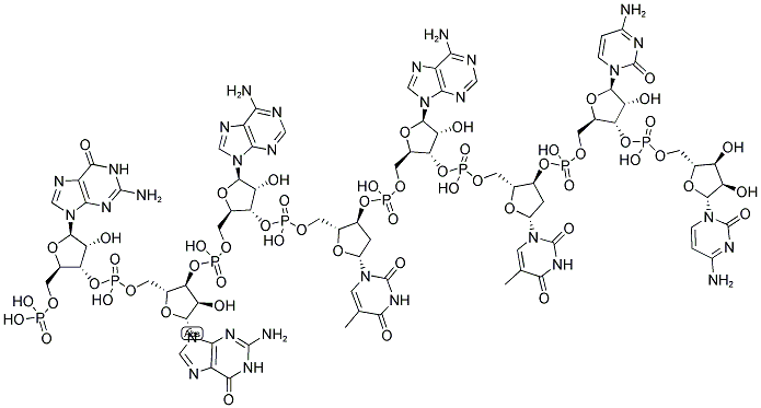 ECOR V LINKER, 5'-PHOSPHORYLATED 结构式