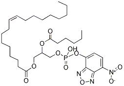 1-OLEOYL-2-[6-[(7-NITRO-2-1,3-BENZOXADIAZOL-4-YL)AMINO]CAPROYL]-SN-GLYCERO-3-PHOSPHATE(MONOSODIUM SALT) 结构式