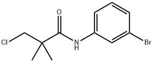 N-(3-溴苯基)-3-氯-2,2-二甲基丙酰胺 结构式