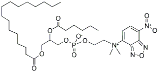 1-PALMITOYL-2-[6-[(7-NITRO-2-1,3-BENZOXADIAZOL-4-YL)AMINO]CAPROYL]-SN-GLYCERO-3-PHOSPHOCHOLINE 结构式