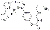 5-(((4-(4,4-DIFLUORO-5-(2-THIENYL)-4-BORA-3A,4A-DIAZA-S-INDACENE-3-YL)PHENOXY)-ACETYL)AMINO)PENTYLAMINE, HYDROCHLORIDE 结构式