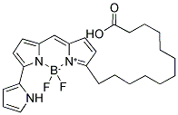 4,4-DIFLUORO-5-(2-THIENYL)-4-BORA-3A,4A-DIAZA-S-INDACENE-3-DODECANOIC ACID 结构式