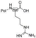 L-ARGININE RESIN 结构式