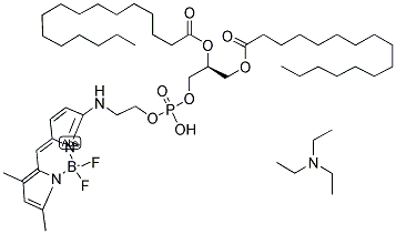 BODIPY(R) fl dhpe, triethylammonium salt 结构式