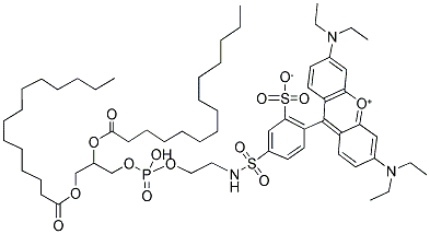 1,2-DIMYRISTOYL-SN-GLYCERO-3-PHOSPHOETHANOLAMINE-N-(LISSAMINE RHODAMINE B SULFONYL) 结构式