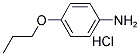 4-PROPOXYANILINIUM CHLORIDE 结构式