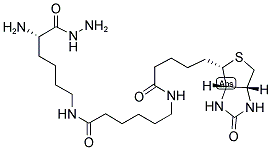 BIOCYTIN-X HYDRAZIDE 结构式