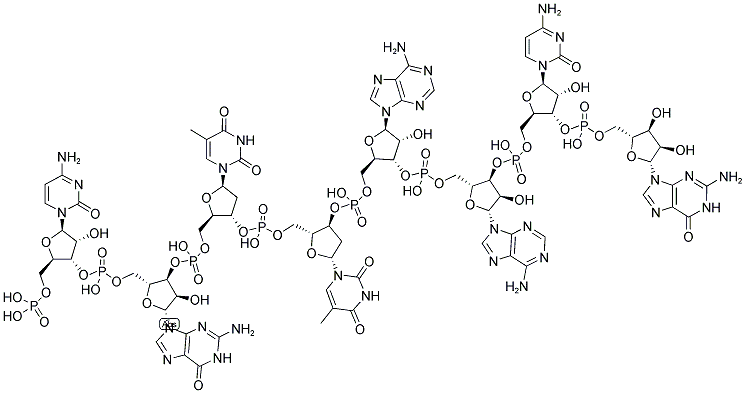 CGTTAACG, 5'-PHOSPHORYLATED 结构式