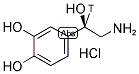 NOREPINEPHRINE HYDROCHLORIDE, DL-, [7-3H] 结构式
