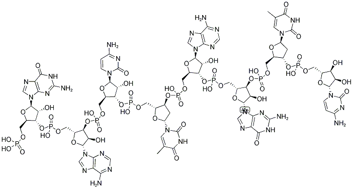 GACTAGTC, 5'-PHOSPHORYLATED 结构式