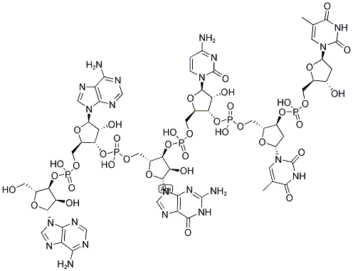 AAGCTT, 5'-NON-PHOSPHORYLATED 结构式