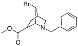 METHYL 2-BENZYL-7-BROMO-2-AZABICYCLO[2.2.1]HEPTANE-6-CARBOXYLATE 结构式