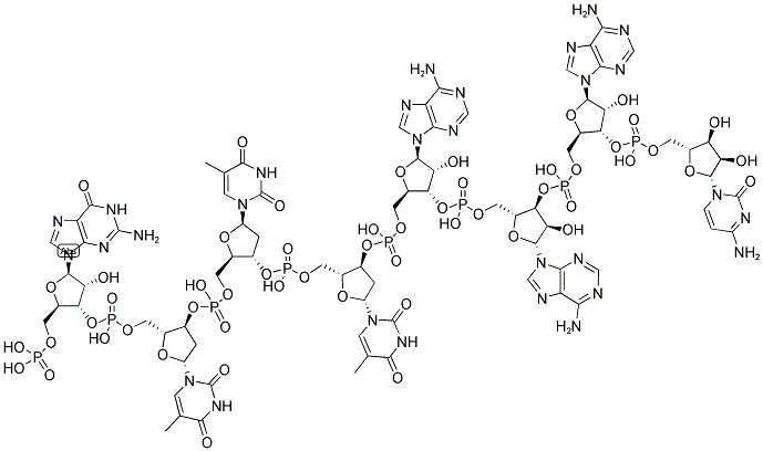 GTTTAAAC, 5'-PHOSPHORYLATED 结构式