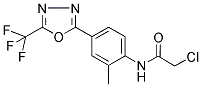 N1-(2-METHYL-4-[5-(TRIFLUOROMETHYL)-1,3,4-OXADIAZOL-2-YL]PHENYL)-2-CHLOROACETAMIDE 结构式