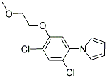 1-[2,4-DICHLORO-5-(2-METHOXYETHOXY)PHENYL]-1H-PYRROLE 结构式