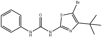 N-[5-BROMO-4-(TERT-BUTYL)-1,3-THIAZOL-2-YL]-N'-PHENYLUREA 结构式